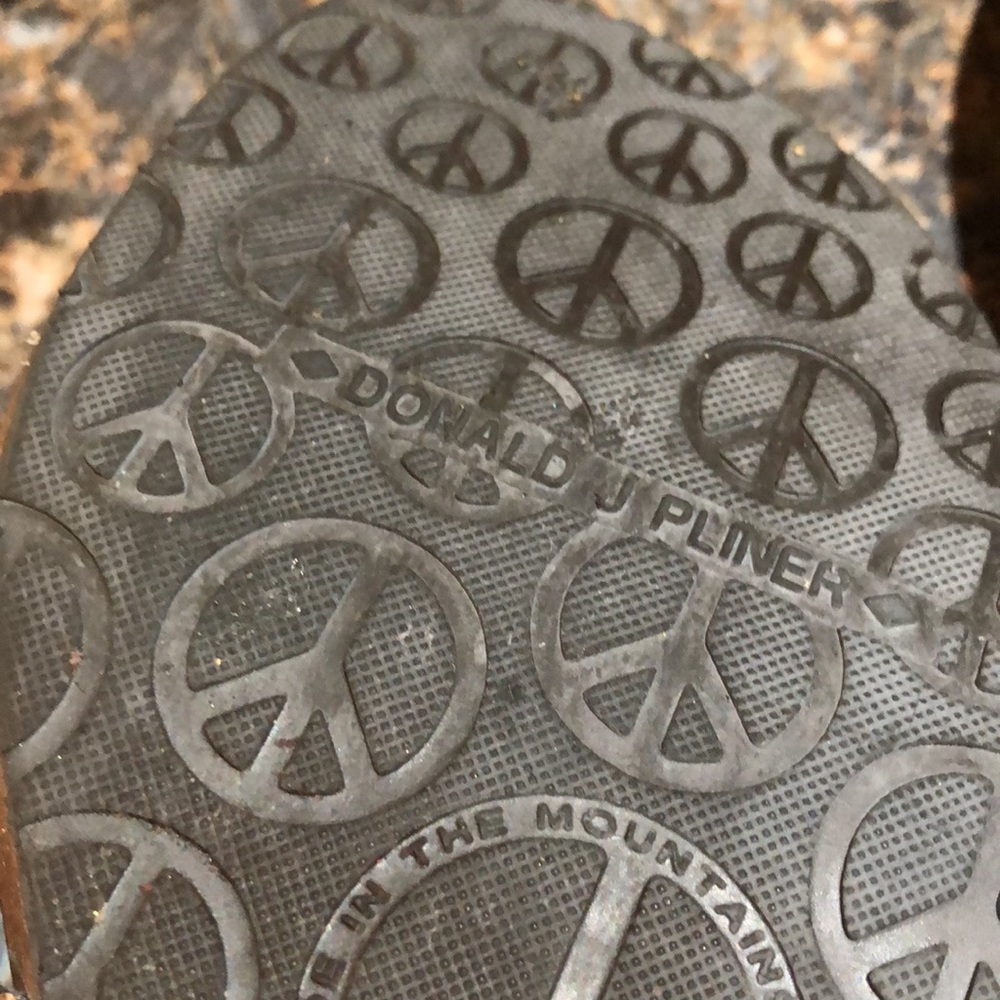 Donald j PLiner  SANDLES - Picture 5 of 8